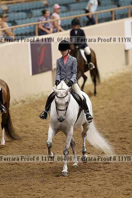 Proof 11yn_06406