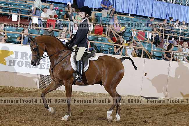 Proof 11yn_06407