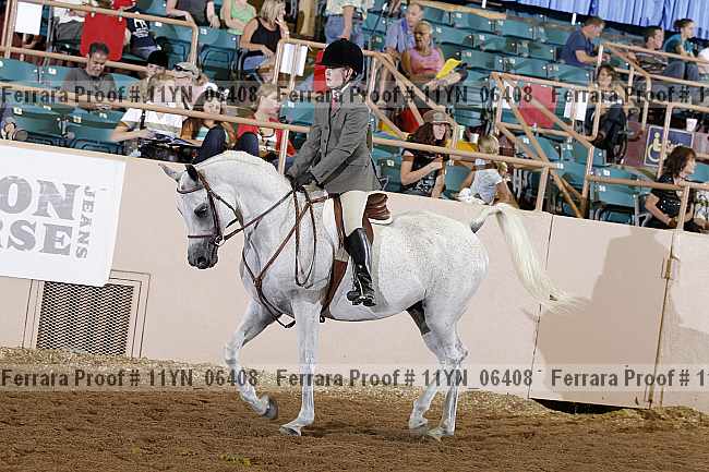 Proof 11yn_06408