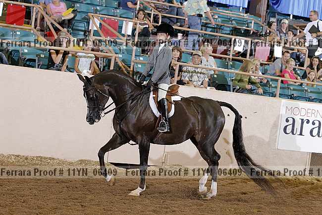 Proof 11yn_06409