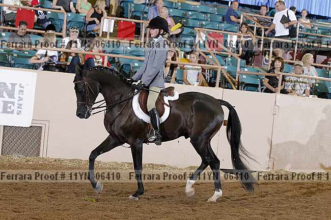 Proof 11yn_06410