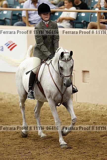 Proof 11yn_06416