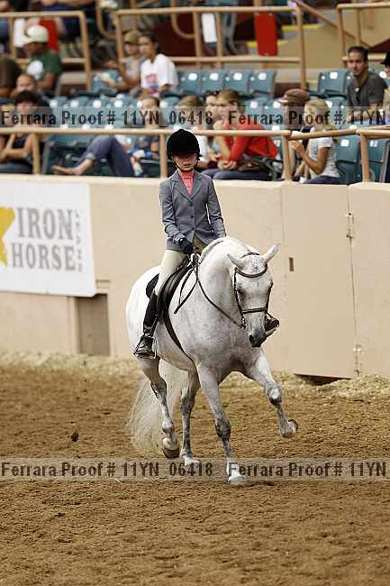 Proof 11yn_06418