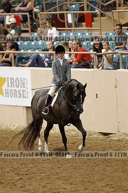 Proof 11yn_06419