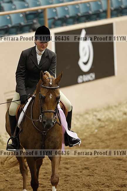 Proof 11yn_06436