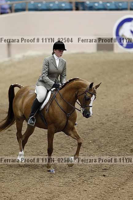 Proof 11yn_02504