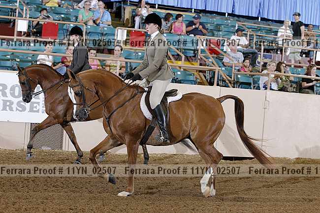 Proof 11yn_02507