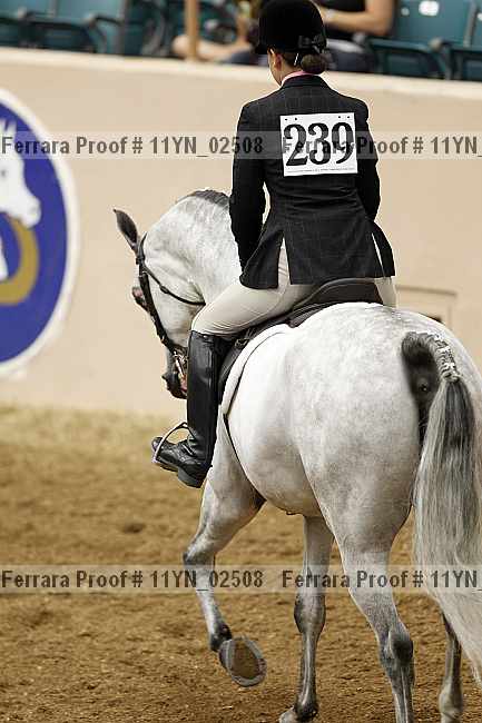 Proof 11yn_02508
