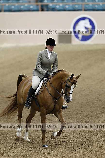 Proof 11yn_02510