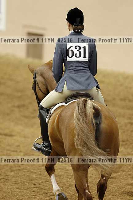 Proof 11yn_02516