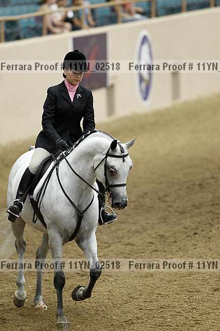 Proof 11yn_02518