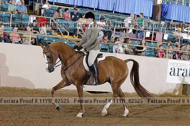 Proof 11yn_02525