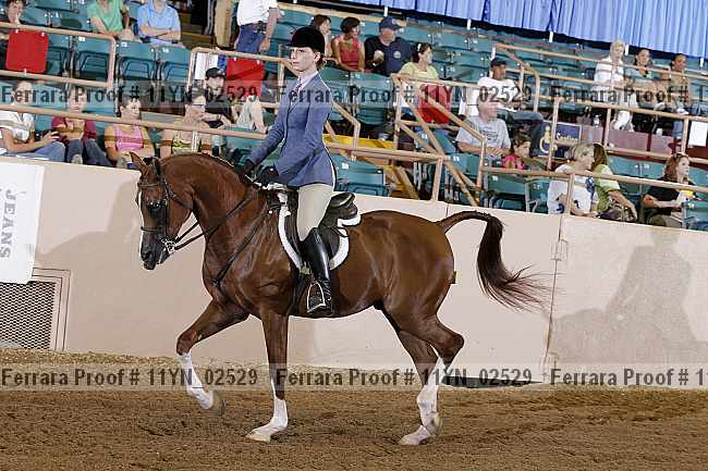 Proof 11yn_02529