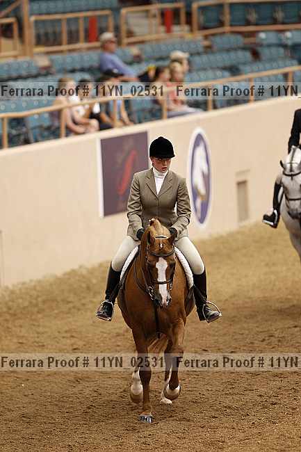 Proof 11yn_02531