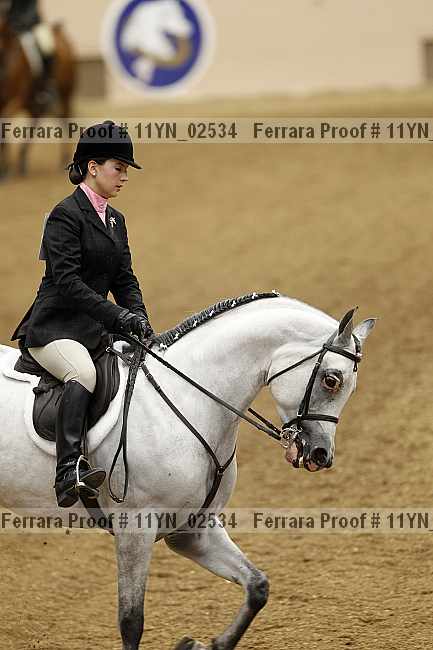Proof 11yn_02534