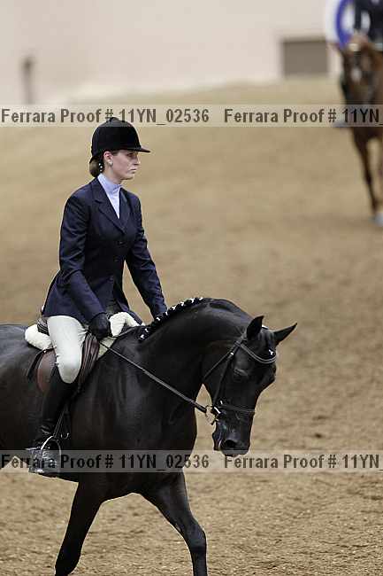 Proof 11yn_02536