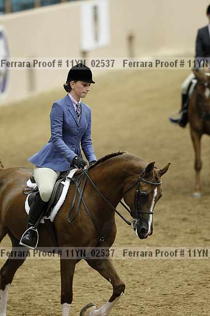 Proof 11yn_02537