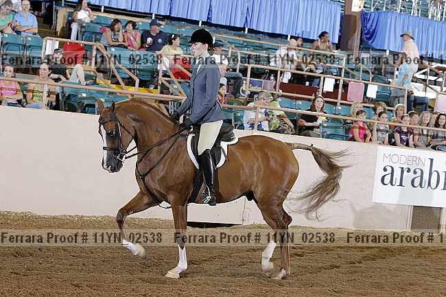 Proof 11yn_02538