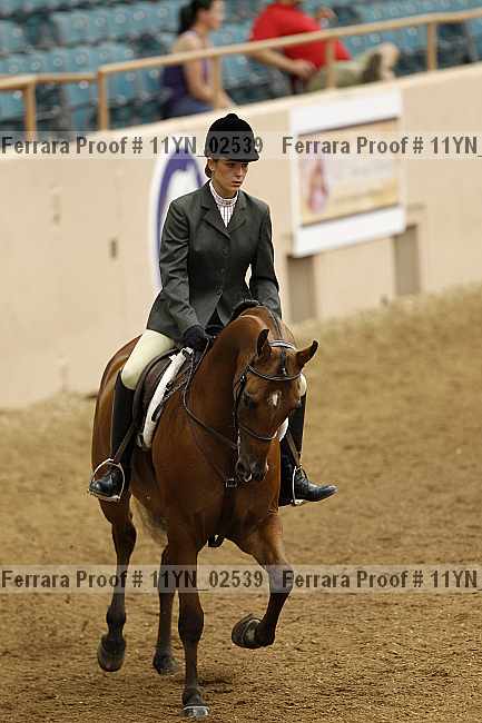 Proof 11yn_02539