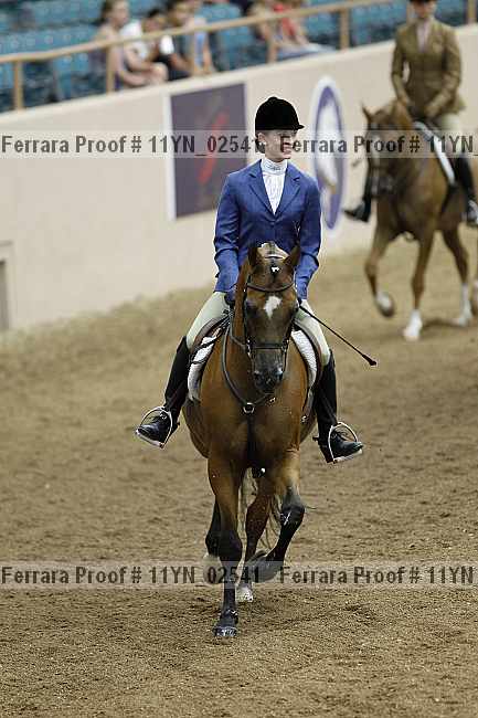 Proof 11yn_02541