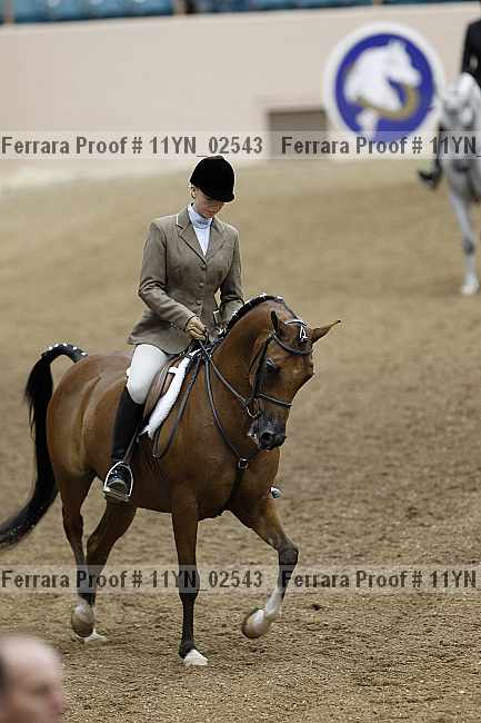 Proof 11yn_02543