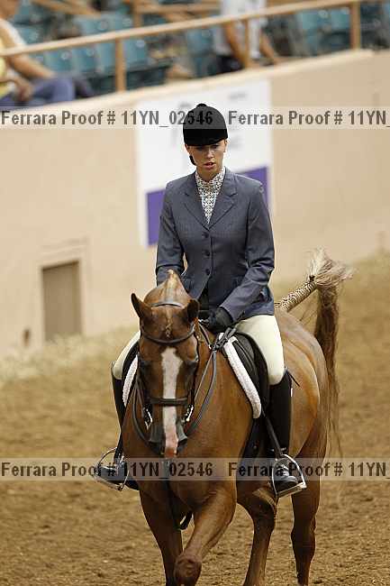 Proof 11yn_02546