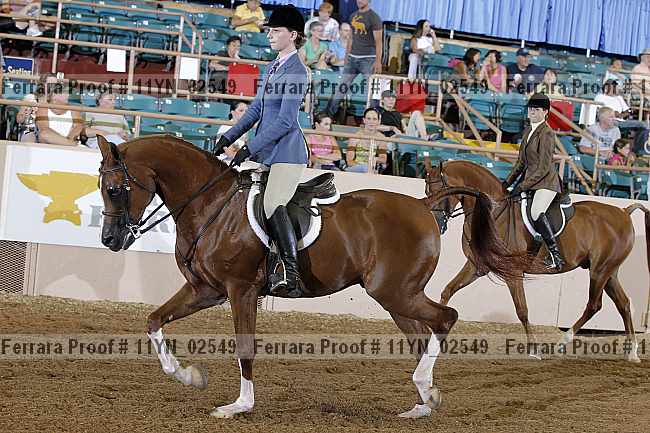 Proof 11yn_02549