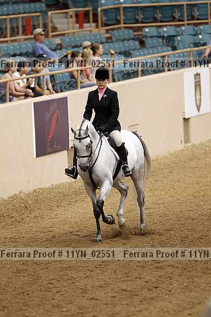Proof 11yn_02551