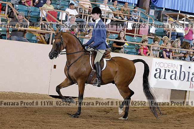 Proof 11yn_02552