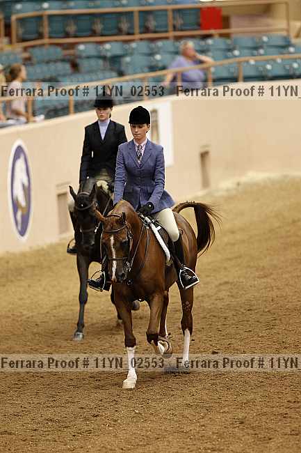 Proof 11yn_02553