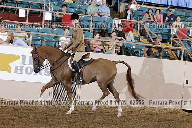Proof 11yn_02555