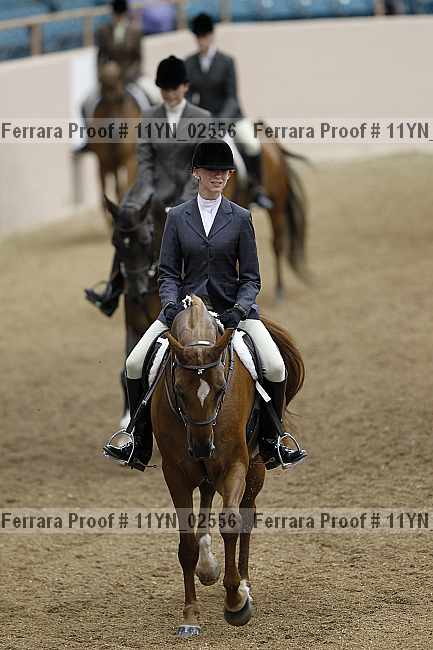 Proof 11yn_02556