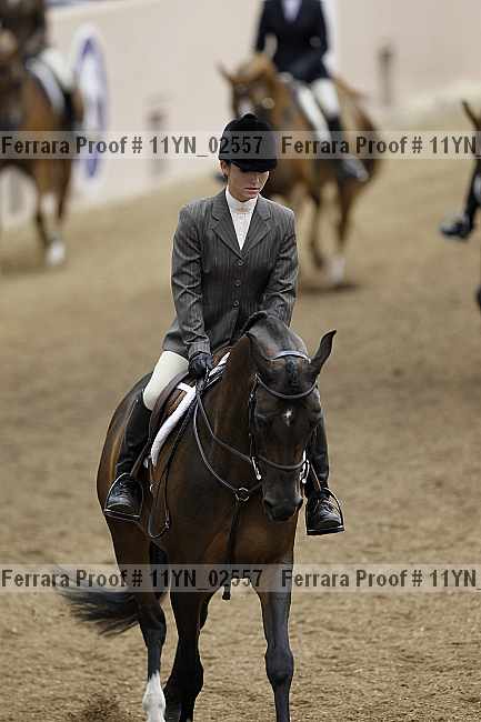 Proof 11yn_02557