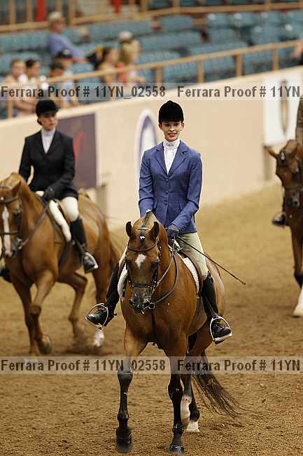 Proof 11yn_02558