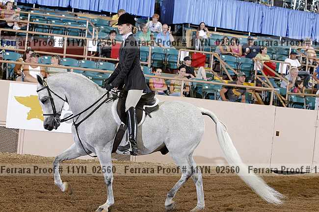 Proof 11yn_02560