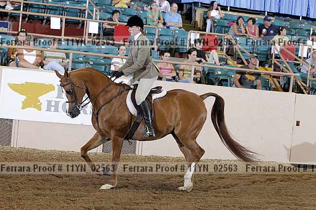 Proof 11yn_02563