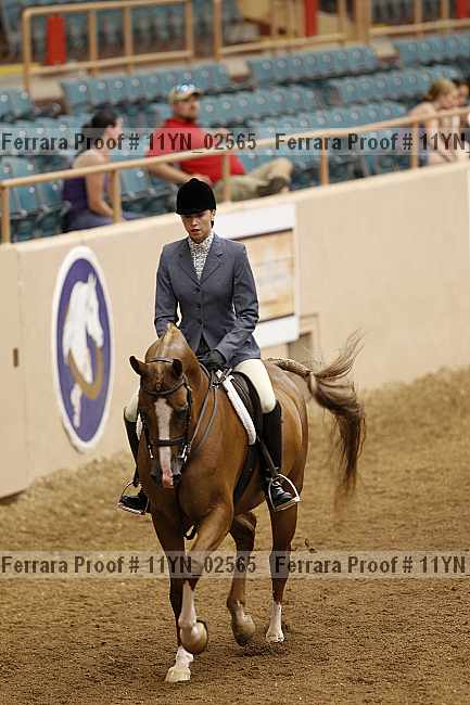 Proof 11yn_02565