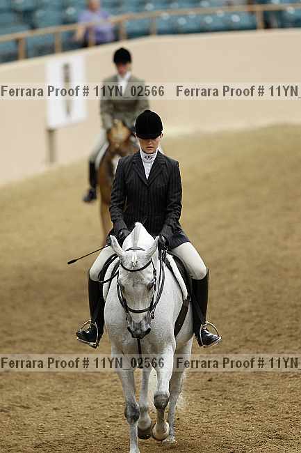 Proof 11yn_02566