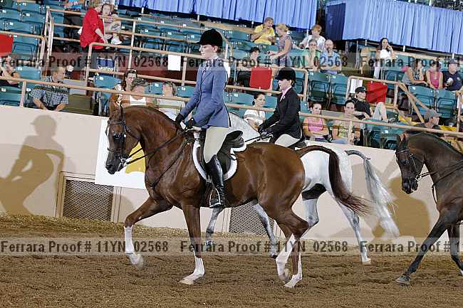Proof 11yn_02568