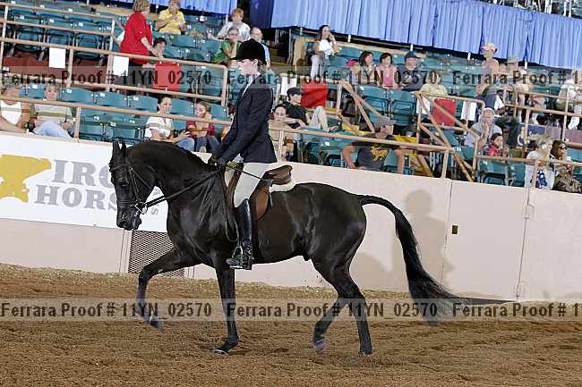 Proof 11yn_02570