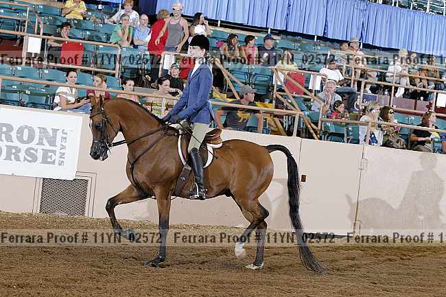 Proof 11yn_02572