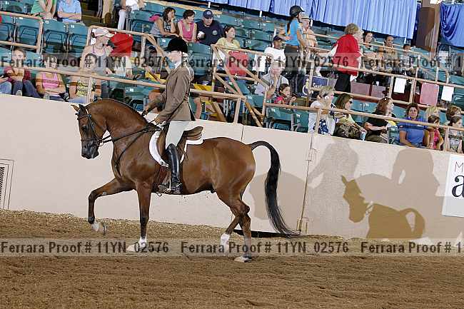 Proof 11yn_02576