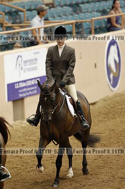 Proof 11yn_02577