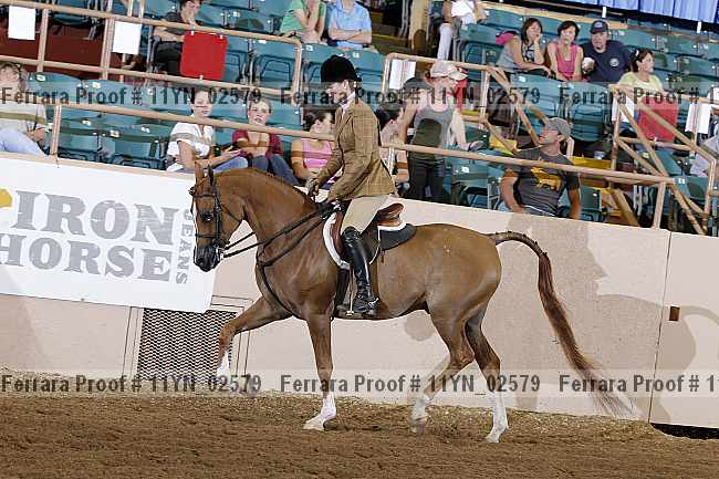 Proof 11yn_02579