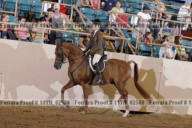 Proof 11yn_02580