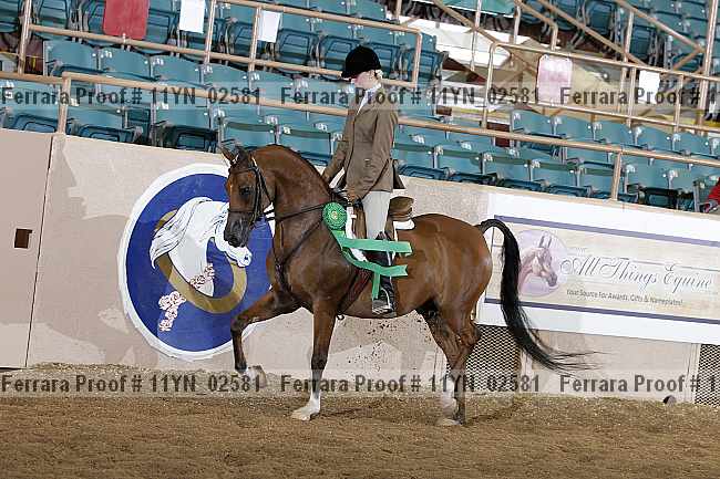 Proof 11yn_02581