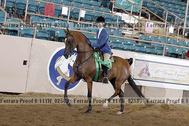 Proof 11yn_02583