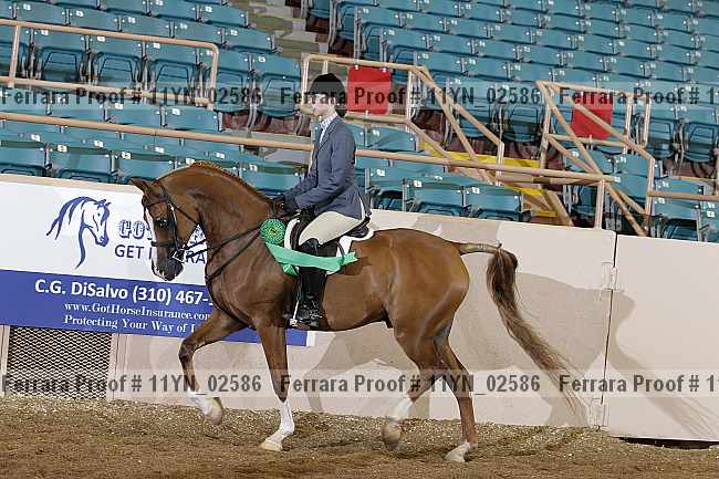 Proof 11yn_02586
