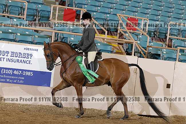 Proof 11yn_02588