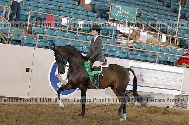 Proof 11yn_02589